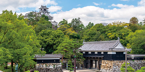 旅レポ シコク 118号