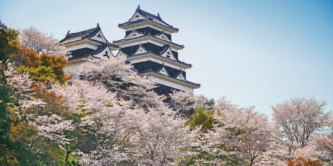 旅レポ シコク 127号